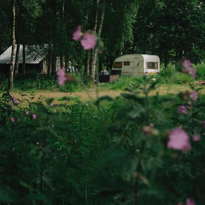 Choosing the Right Location for Off-Grid Living