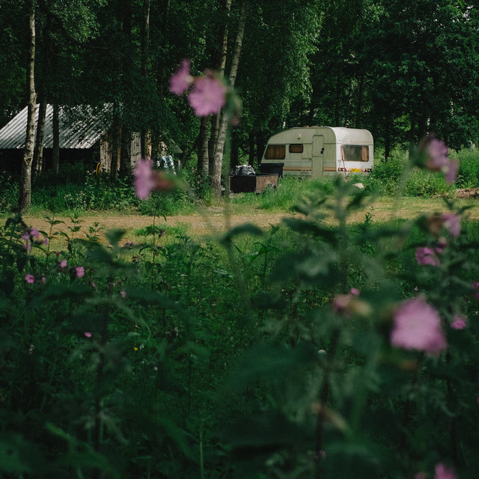 Finding Your Perfect Off-Grid Home Location