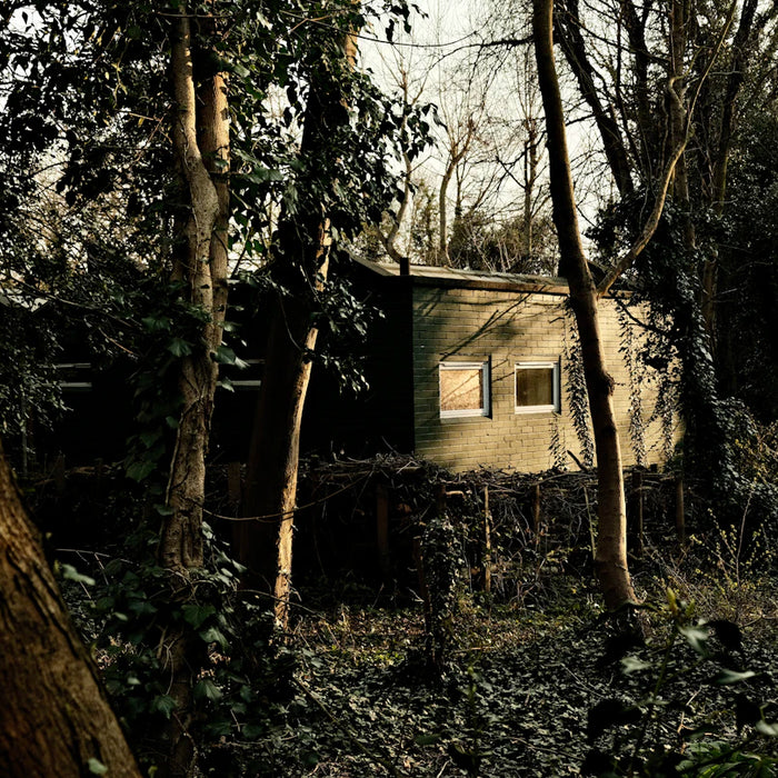 Master the Skills for Thriving Off-Grid Living