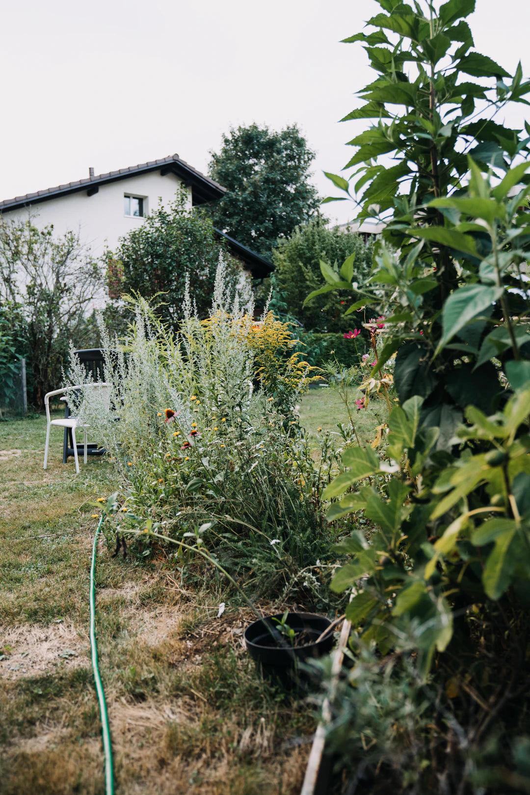 Image showcasing The Role of Permaculture in Off-Grid Living — Modern Homestead Co.
