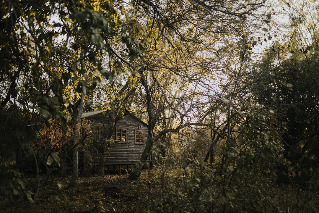 Image showcasing Master Off-Grid Living: Skills for a Self-Sufficient Life — Modern ...