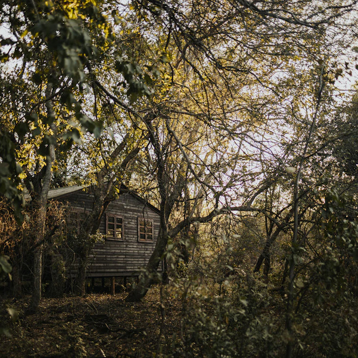 Master Off-Grid Living Skills for a Self-Sufficient Life