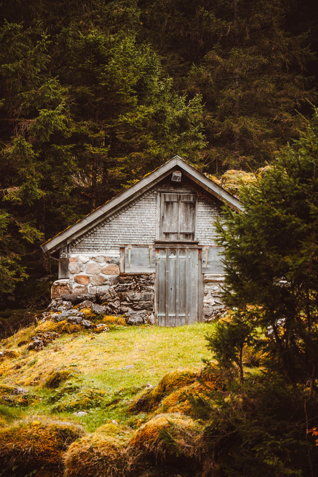 Embrace Self-Sufficiency A Guide to Off-Grid Living