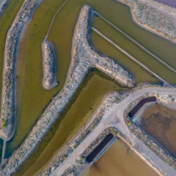 Effective Water Harvesting Techniques for Off-Grid Living