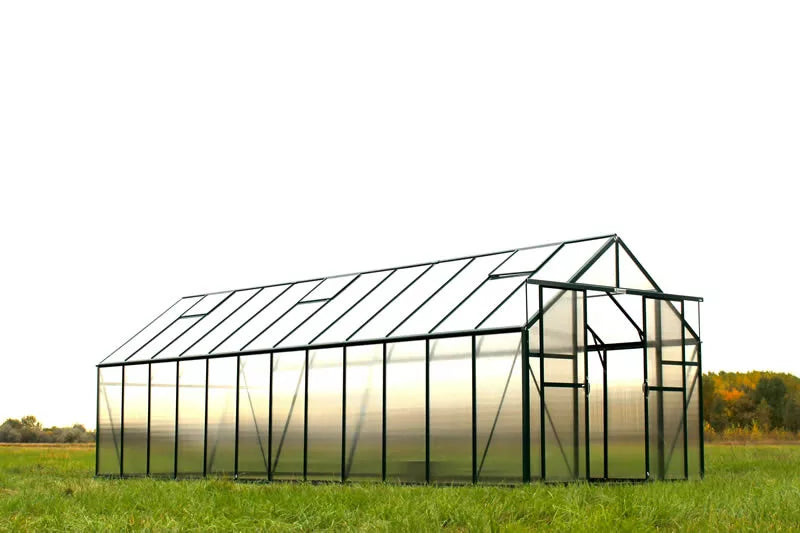 Grandio Ascent 8X8X24.ft Polycarbonate Greenhouse