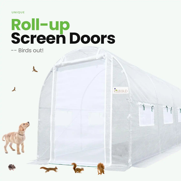 KING BIRD 15' x 6.6' x 6.6' Premium Walk-in Greenhouse