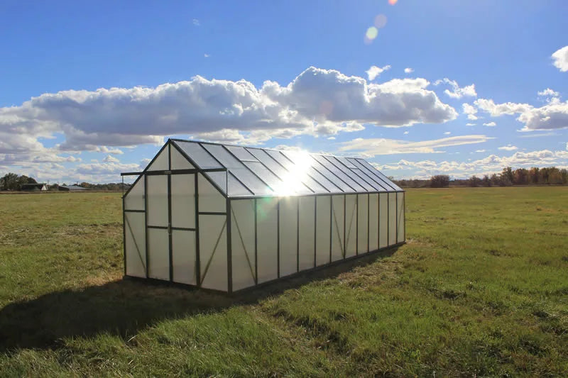 Grandio Ascent 8X8X24.ft Polycarbonate Greenhouse