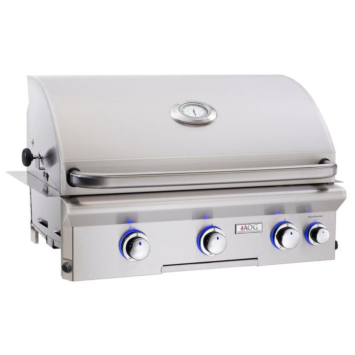 American Outdoor Grill L-Series Built-In Grill
