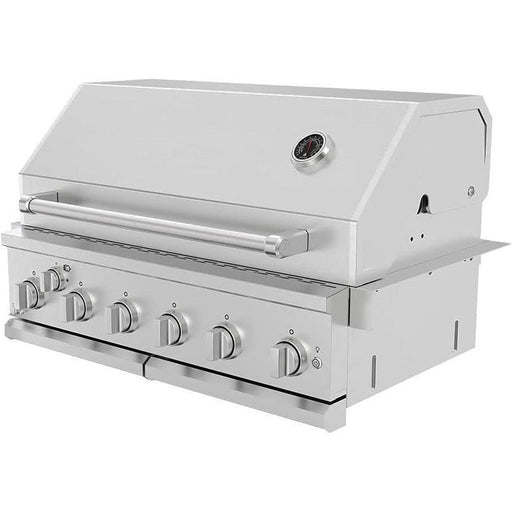 36 Inch Built In Gas Grill 6 Burner Propane with Rear Burner Dual Fuel Stainless Steel