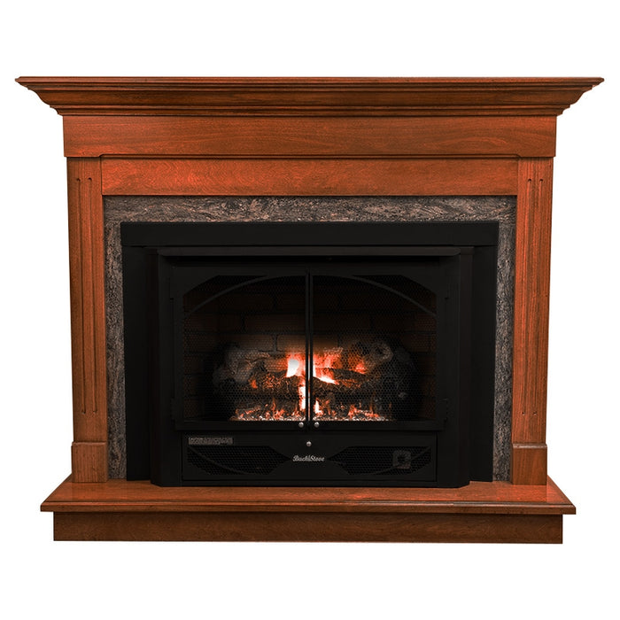 Buck Stove Model 384 Vent Free Gas Stove