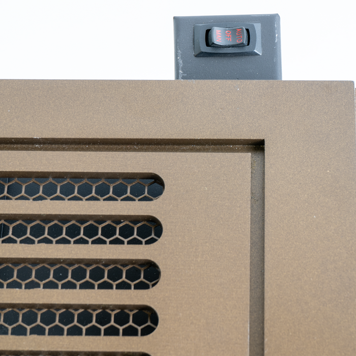 Buck Stove Townsend II Vent Free Steel Gas Stove