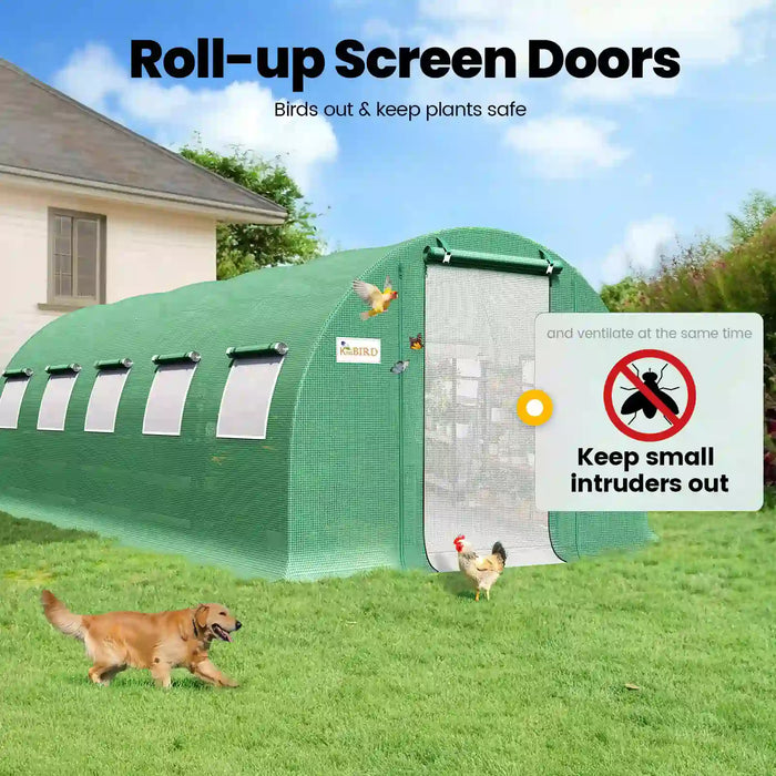 KING BIRD Premium Heavy Duty Large Walk-in Greenhouse