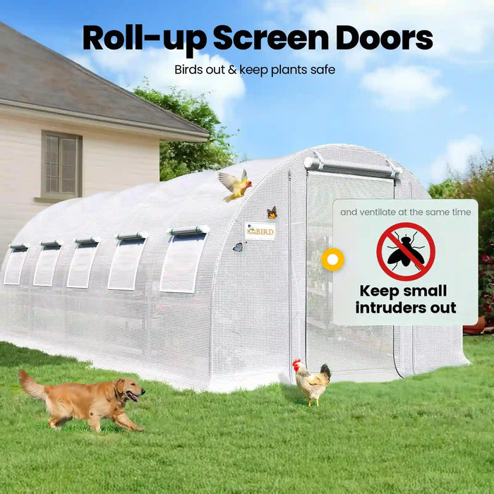 KING BIRD Premium Heavy Duty Large Walk-in Greenhouse