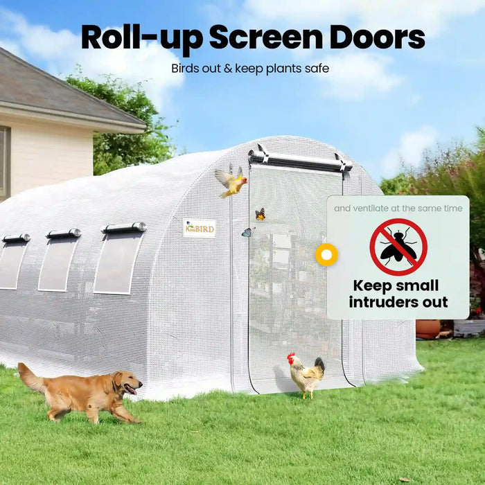 KING BIRD Premium Heavy Duty Large Walk-in Greenhouse