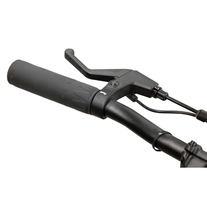 Rambo 16" Lil Whip 36V/11.6Ah 350W Electric Kids Bike