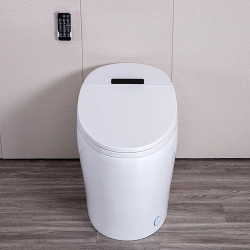 Sanitary Ware Composting Portable Smart Automatic Piss Siphon Flushing