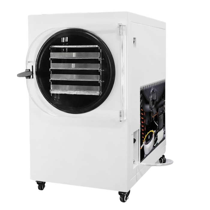 -60℃ Professional Freeze Dryer Machine with Auto Defrost, 4 Trays for Food & Lab Use