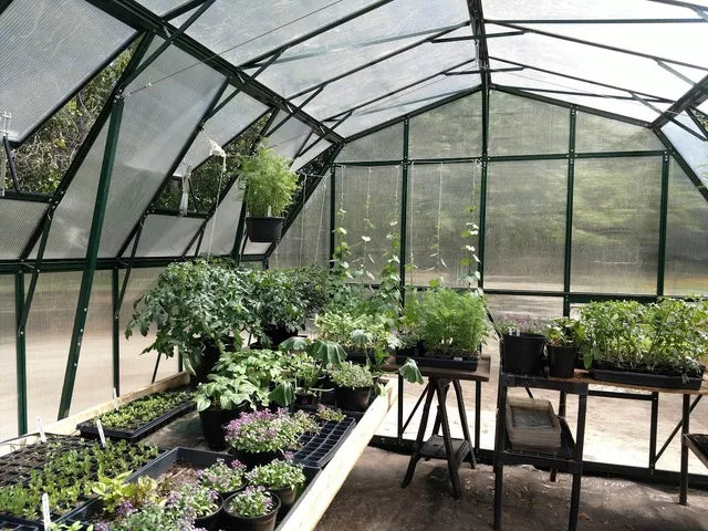 Grandio Summit 12X9X28.ft Polycarbonate Greenhouse