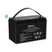 Renogy 12V 100Ah Lithium Iron Phosphate Battery with Bluetooth