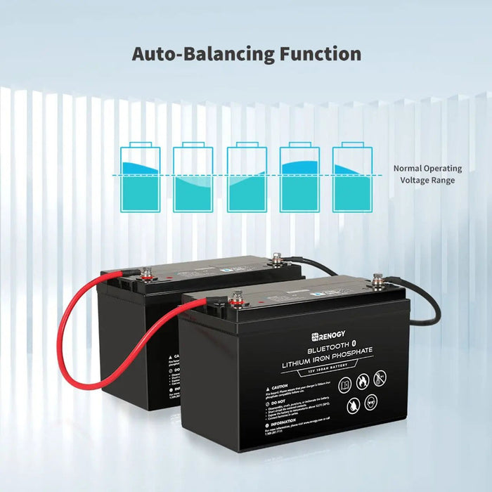 Renogy 12V 100Ah Lithium Iron Phosphate Battery with Bluetooth