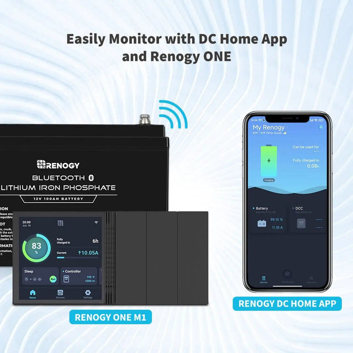 Renogy 12V 100Ah Lithium Iron Phosphate Battery with Bluetooth