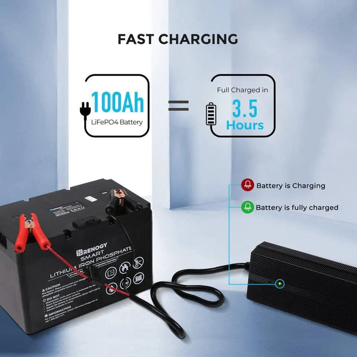 Renogy 12V 20A AC-to-DC LFP Portable Battery Charger