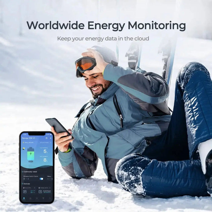 Renogy One Core Energy Monitoring Panel